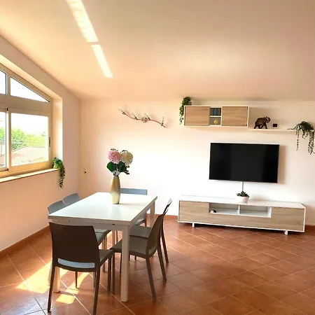 House Holiday home *